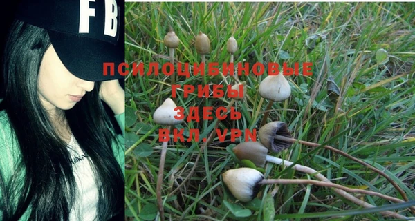 ГАЛЛЮЦИНОГЕННЫЕ ГРИБЫ Абинск