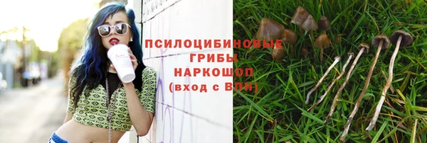 мет Абаза