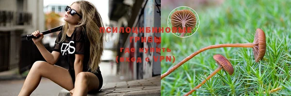 мет Абаза